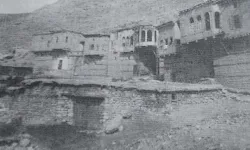 Divriği'ye Çobandurağı Değer Katacak