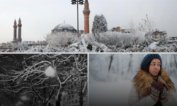 25 Şubat 2025 Sivas Hava Durumu