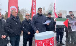 Tokgöz: Gazze Gazzelilerindir