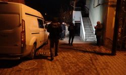 Pencereden Girdi, Silahla Vurdu