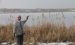 Hafik Gölü de Dondu
