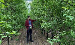 Erik kilosu dudak uçuklattı
