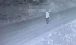 Jandarmanın Fotokapan Tuzağı 9 İlde Korku Saçan Suç Örgütü Çökertildi