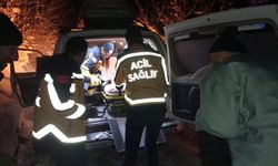 İnek Yaraladı 4 Saat Sonra Kurtarıldı