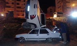 Park Halindeki Aracın Üzerine Düştü