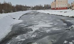 Sivas Yeni Bir Rekor Kırdı