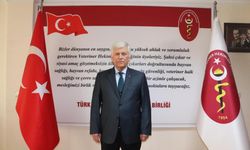 Onlarca Hayvanın Ölü Bulunması Skandaldır