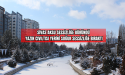 Sivas Aksu Sessizliğe Büründü: Yazın Cıvıltısı Yerini Soğuk Sessizliğe Bıraktı
