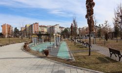 Millet Bahçesi'nde ağaçlar büyüyemiyor