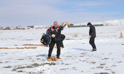 Sivas Belediyesi Yaban Hayvanlarını Unutmadı