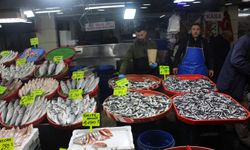 Balıkçılar Çağırıyor: Et Pahalı, Balık Uygun!
