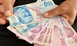 Vatandaşlık Maaşı Nedir? Kimler Yararlanabilir?