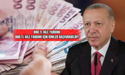 800 TL Aile Yardımı 800 TL Aile Yardımı İçin Kimler Başvurabilir?