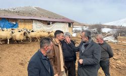 Depremzedelere Ahır ve Samanlık Desteği