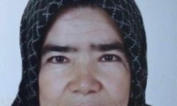 Komşu İlde Balkondan Düştü Hayatını Kaybetti