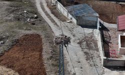 Sivas Müjdeci Leyleklerini Bekliyor