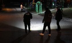Can Güvenliğimiz Yok! Yüzüne Saçma İsabet Etti