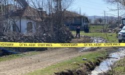 25 Koyunu Yakarak Öldürdü