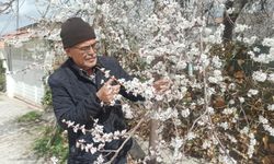 Üreticiler Don Tehlikesiyle Karşı Karşıya