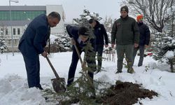 Sivas'ta Orman Bilinci Aşılandı
