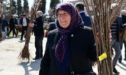 Şimdi fidan dikme zamanı