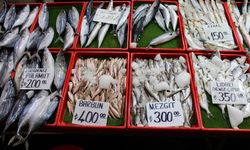 Ramazan'da Balık Fiyatları Değişmedi
