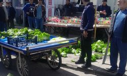 Zabıta görevini yaptı, seyyar çıldırdı