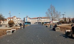 Sivas'ta Bahar Şimdi Başlıyor