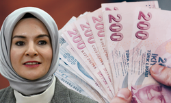 1,000 TL Nakit Kızılay'dan Destek Nasıl Alınır?