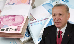 2025 Rekor Nakit Destek Aylık 10 Bin 125 TL Nasıl Alınır?
