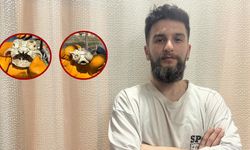 Bu kemik neye ait? Sivas'taki bahçeden çıkan sır