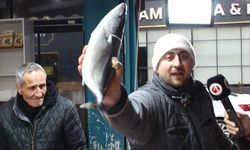 Hamsi, barbun bitti mi? Sivaslı balıkçıdan o açıklama