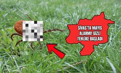 Sivas'ta Mayıs alarmı! Gizli tehlike başladı
