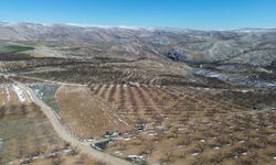 CHP'li Karasu'dan afet bölgesi talebi