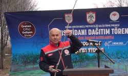 Kangal'a 14 bin kayısı fidanı