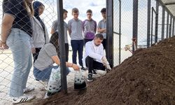 Organik atıklar komposta dönüşüyor