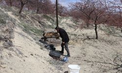 Zirai don korkusu ateş yaktırdı