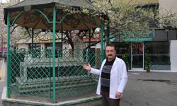 Makineler durdu! Yol eğildi! Sivas'taki o türbenin sırrı ne?