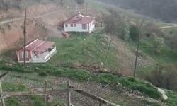 Daha önce don vurmuştu bu defada dolu vurdu