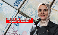 Annelere İki Ayda Bir Nakit Destek! Başvur, PTT'den Ödemeni Al