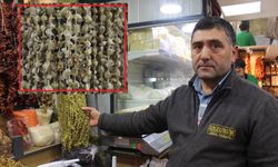 Dizlere şifa! Ceplere yangın! Kilosu 4 bin TL