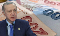 Devletten 4.800 TL Destek! Kimler Alabilir Nasıl Başvurulur?