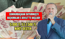 Cumhurbaşkanı Duyurmuştu: Başvurular e-Devlet’te Başladı! 5.000 TL ile 1.500 TL Nakit Destek