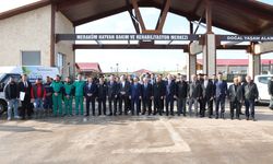 Sivas'ta sokak hayvanları için yeni dönem