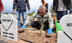 Minik melekler için gül dikildi! Belediye çalışmaları tamamladı