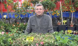 Sivas'ın fideleri pazara çıktı! En çok hangi fide satılıyor?