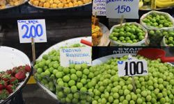 Sivas'ta erik fiyatları şaşırttı! 100 TL'ye de var 300'e de
