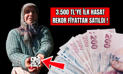 Kilosu İnanılmaz Rakam: 3.500 TL!