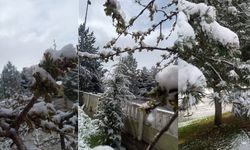 Aprilin beşi yüzünü gösterdi! Oluşabilecek sorunlar neler?