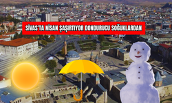 Sivas'ta Nisan Şaşırtıyor: Dondurucu Soğuklardan!